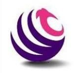 WT Microelectronics Singapore Pte Ltd
