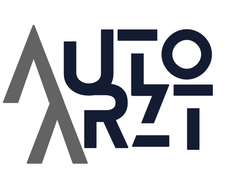 AUTO ARZT