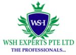 WSH Experts