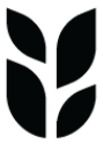 Grain Pte Ltd