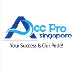 Acc-Pro Consultancy