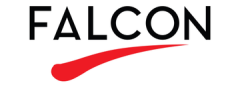 Falcon Incorporation Pte Ltd
