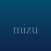 Mizu Medical Holdings