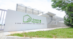 Green Harvest