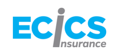 Ecics Limited