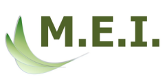 M.E.I. Energy & Environment Pte. Ltd.