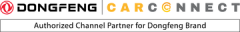 carconnect Pty Ltd
