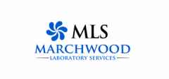 Marchwood