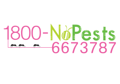 1800NOPESTS PTE. LTD.