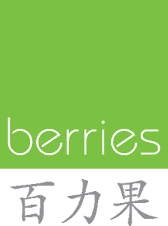 BERRIES WORLD OF LEARNING SCHOOL (KVP) PTE. LTD.
