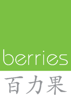 BERRIES WORLD OF LEARNING SCHOOL (DBY) PTE. LTD.